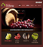 WordPress Themes - GoWebBaby.Com