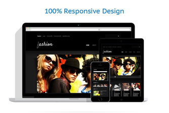 WordPress Themes - GoWebBaby.Com