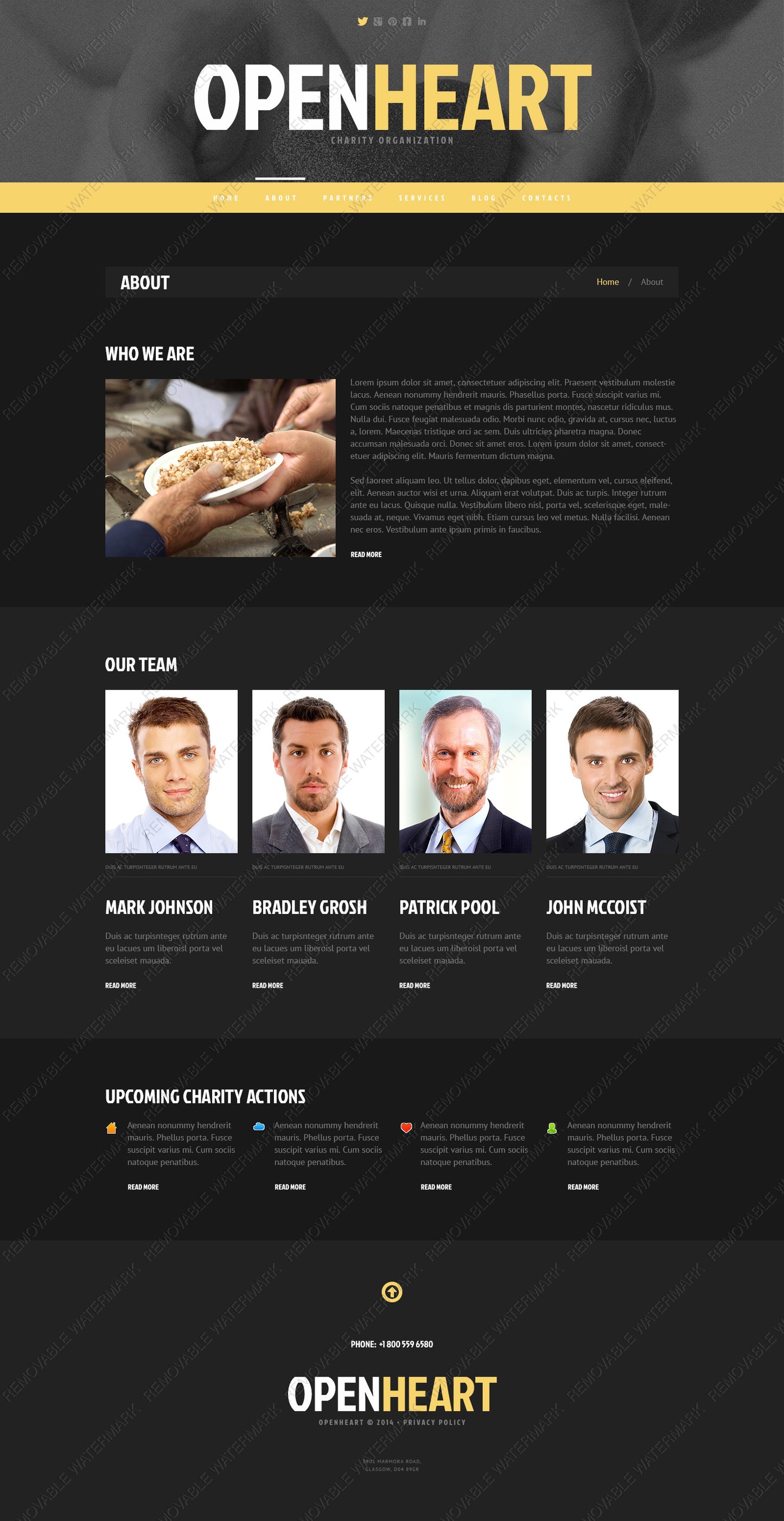 WordPress Themes - GoWebBaby.Com