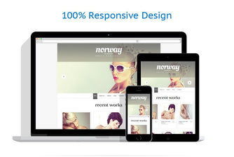 WordPress Themes - GoWebBaby.Com