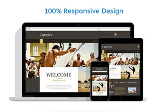 WordPress Themes - GoWebBaby.Com